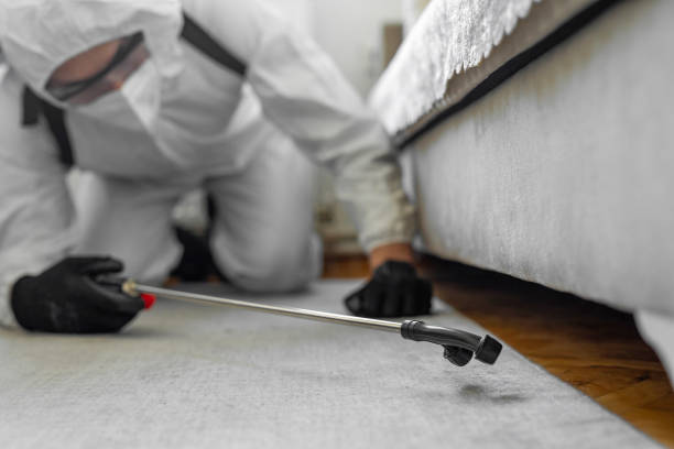 Professional Termite Control technician working in Day Valley, CA