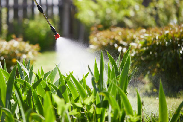 24/7 Emergency Termite Control experts in Day Valley, CA